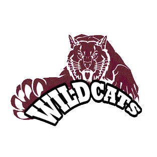 Fall Mountain Wildcats logo