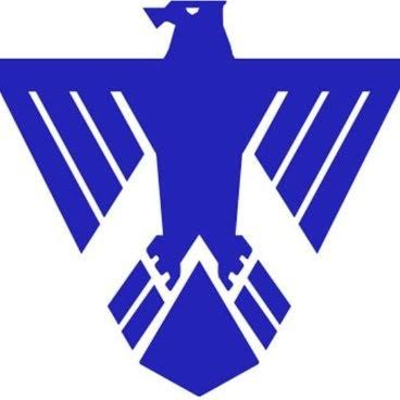 Missisquoi Valley Union Thunderbirds logo