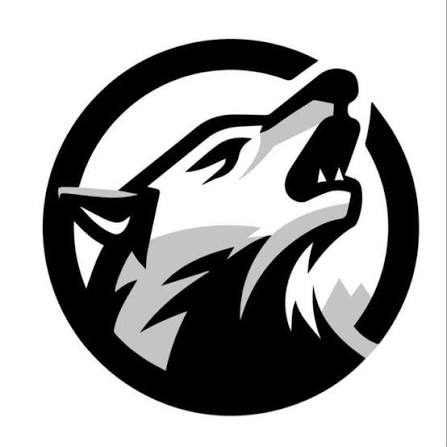 Prospect Mountain Timberwolves logo